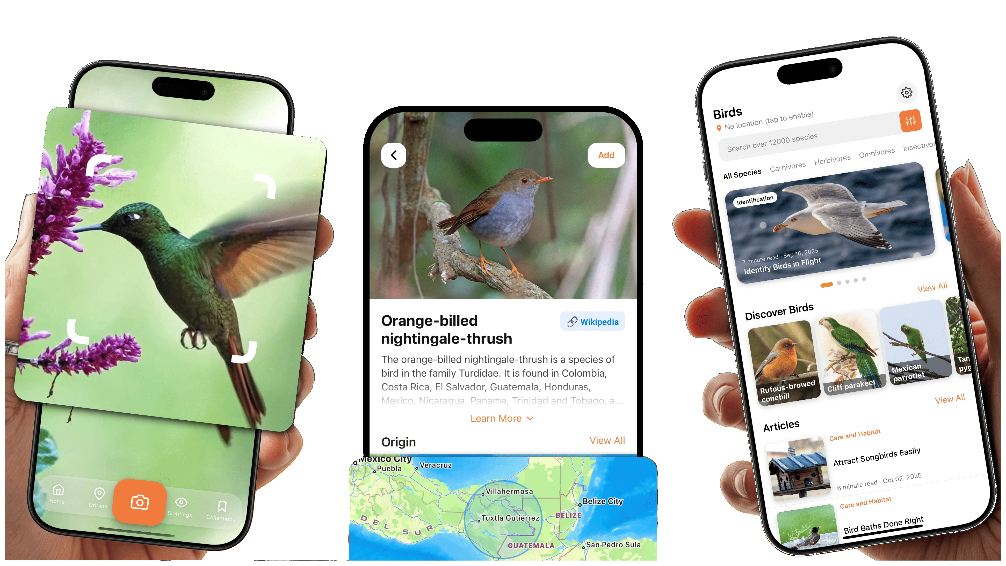 FeatherScan app preview showing bird species map and interface